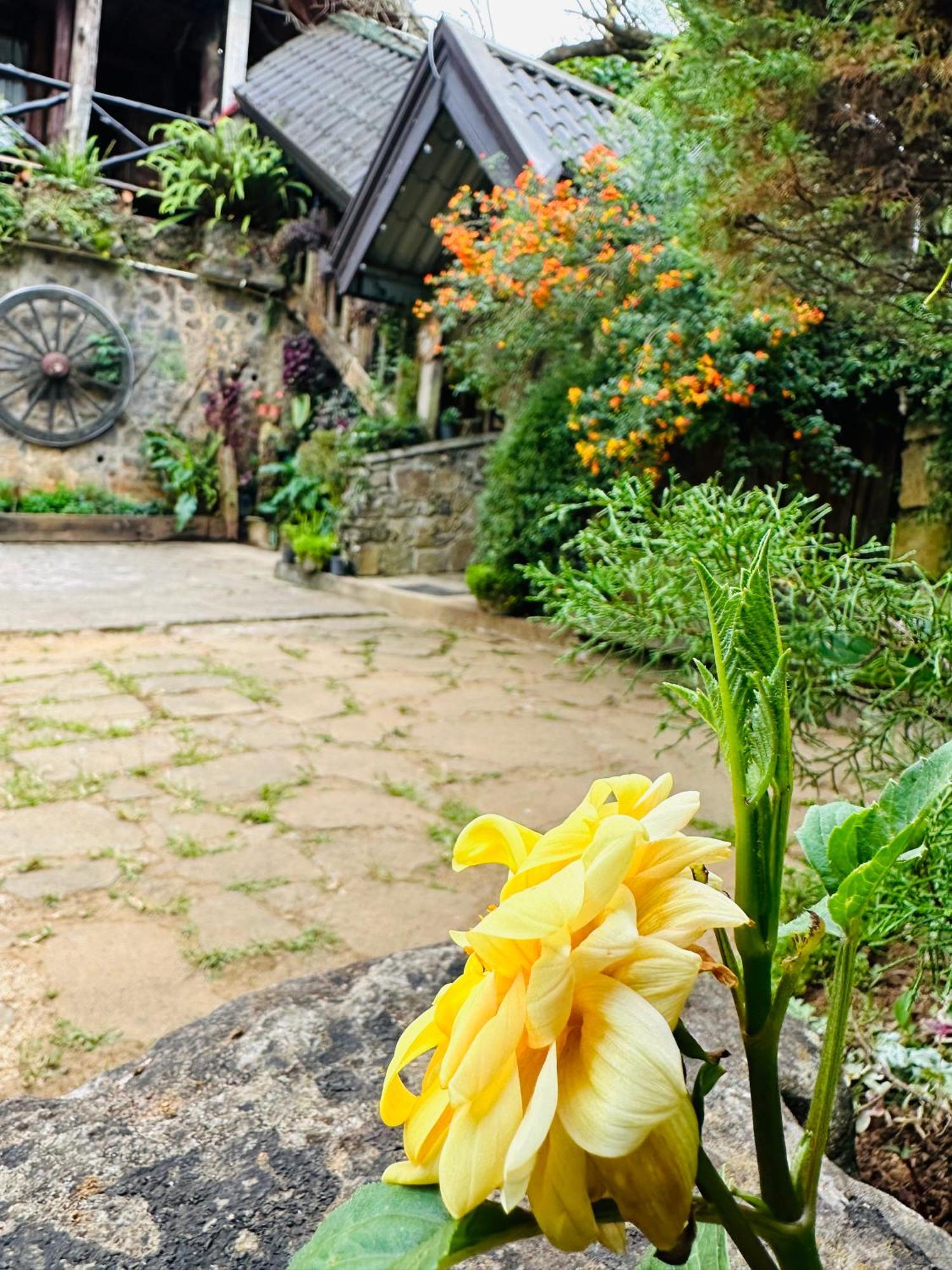 Villa 47 Nuwaraeliya Nuwara Eliya Eksteriør bilde