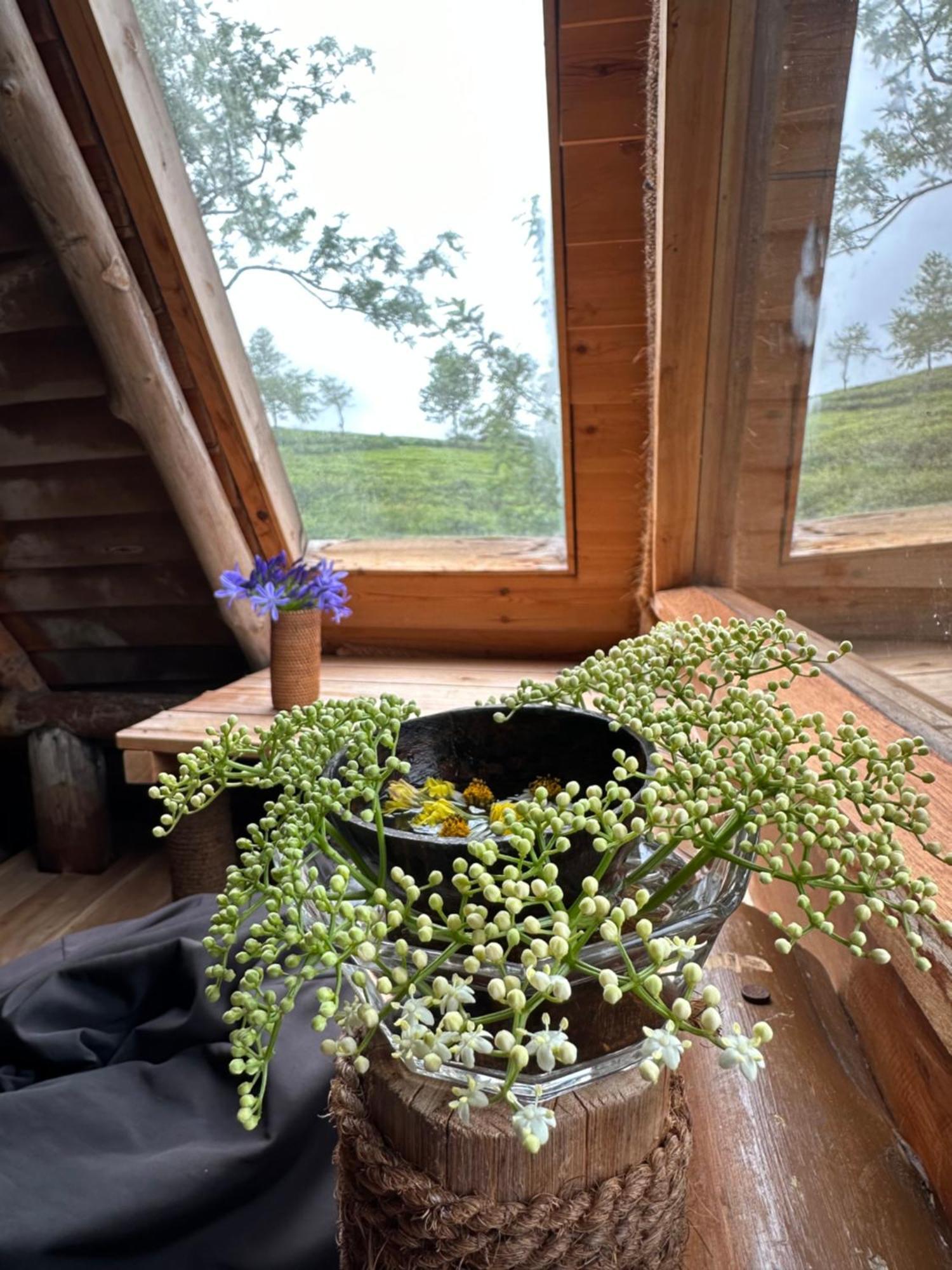 Villa 47 Nuwaraeliya Nuwara Eliya Eksteriør bilde